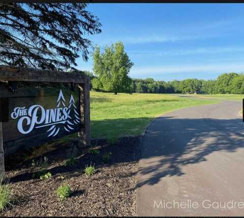 Benzel Court, Hastings, MI 49058