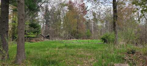 V/L Harbor Drive, Pentwater, MI 49449