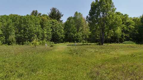 16311 Dickson Road, Brethren, MI 49619