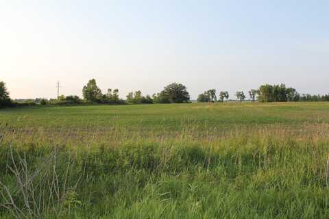 Vl Tamarack Road, Hudson, MI 49247