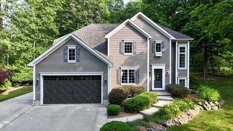 19223 Fox Glove Circle, Big Rapids, MI 49307