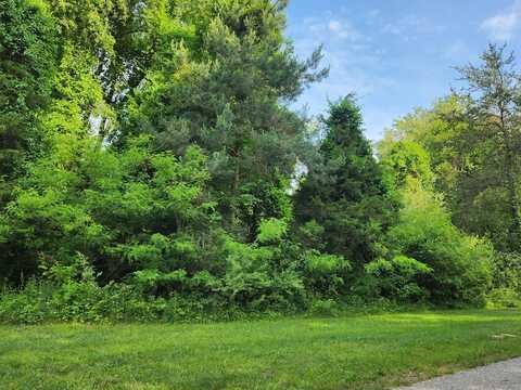 6591 Phoenix Court SE, Alto, MI 49302