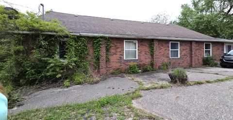 487 E Elizabeth Street, Stockbridge, MI 49285