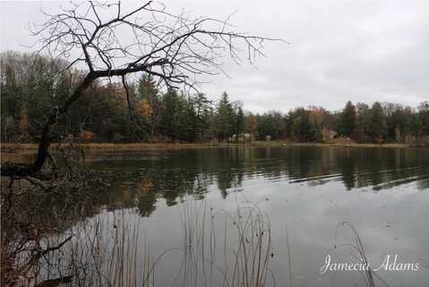 02 S Paris, Idlewild, MI 49642