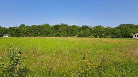 2 Acres Vl 36th Street, Gobles, MI 49055