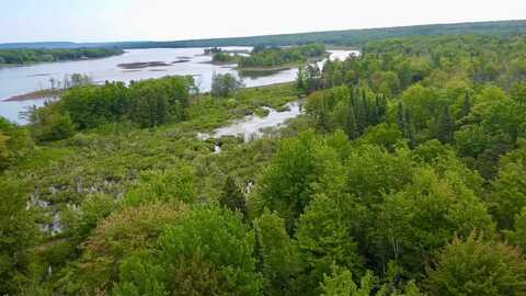V/L 17.5a Sugar Island Road, Muir, MI 49783