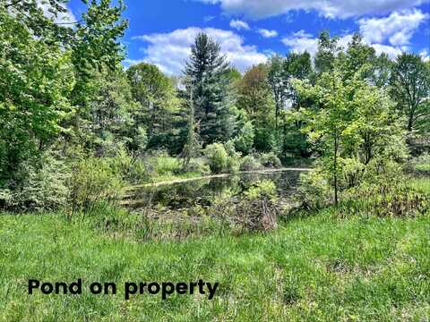 10701 Elizabeth Road, Greenville, MI 48838