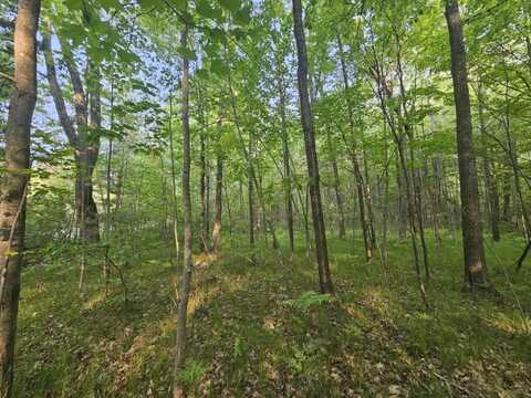 V/L Mannsiding Rd, Harrison, MI 48625