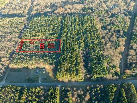 Parcel B Scout Road, Mears, MI 49436