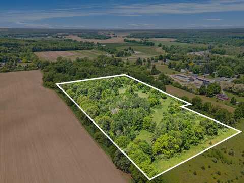 VL 138 Coral Rd, Stanton, MI 48888