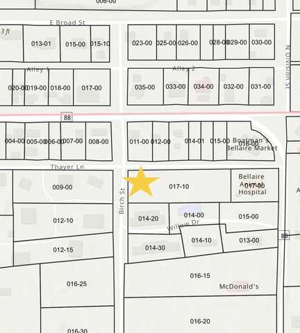 00 Thayer Lane, Bellaire, MI 49615