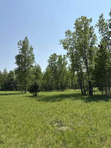 V/L 200th Avenue, Morley, MI 49336