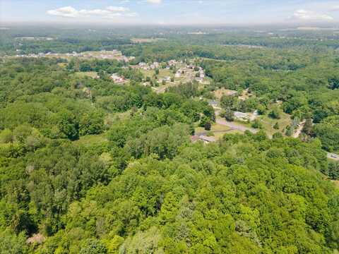 3220 14 Mile Rd. Parcel B Road NE, Cedar Springs, MI 49319