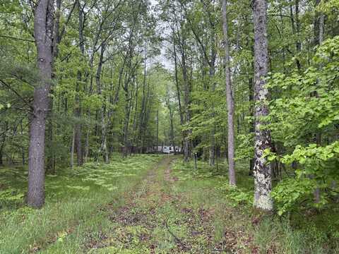 8073 W 10 1/2 Mile Road, Irons, MI 49644