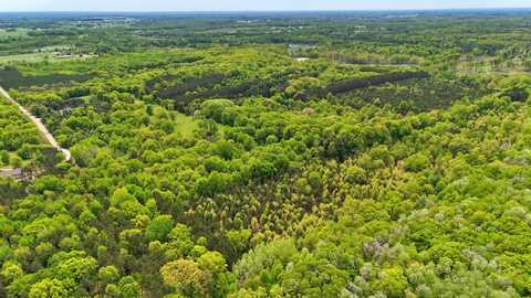 80+/- Acres V/L 140th Ave, Stanwood, MI 49346