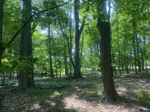 7030 14 Mile Road NE, Cedar Springs, MI 49319