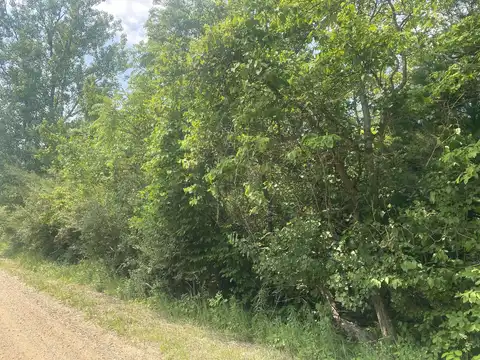 V/L 55th Street-A, Grand Junction, MI 49056