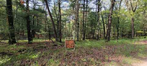 V/L Katherine Ave., Baldwin, MI 49304
