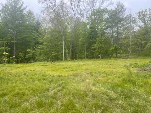 73 E Harmony Avenue, Idlewild, MI 49642