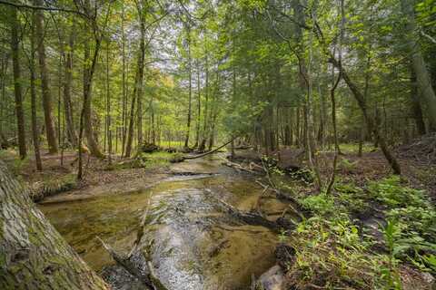 Carter Creek Road, Beulah, MI 49617