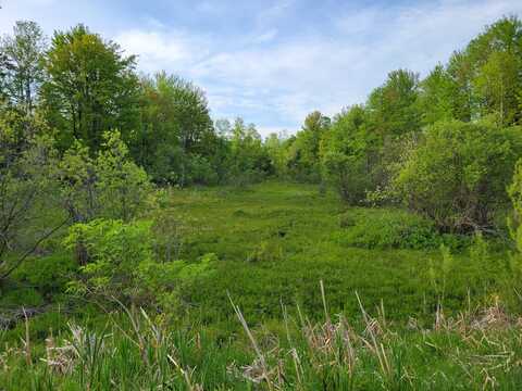 1052 E Clock Road, Hart, MI 49420