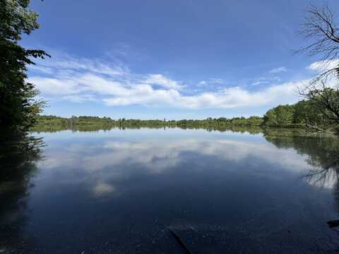 Vl Mowatt Road, Mayville, MI 48744