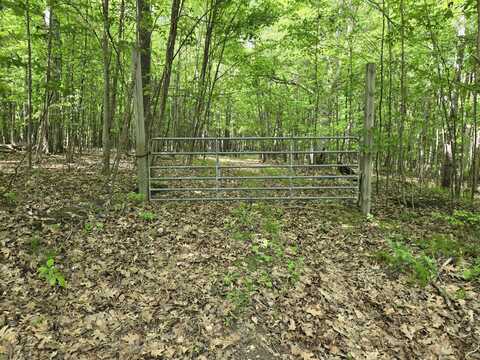 4500 W Wise Road, Greenville, MI 48838