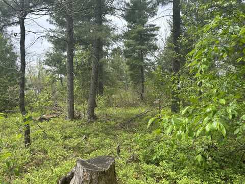 V/L E Cook Street, Idlewild, MI 49642