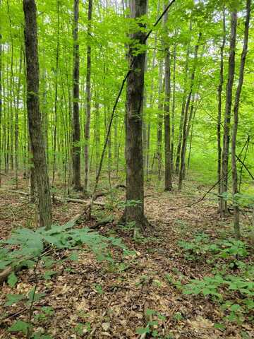 264 Plum Valley Road NE, Mancelona, MI 49659
