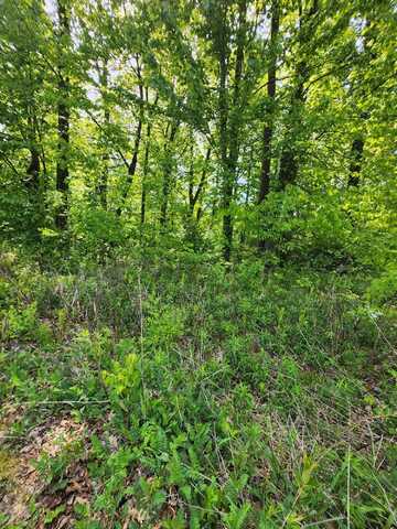 undefined, New Buffalo, MI 49117