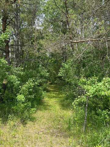 19798 Yankee Road, Howard City, MI 49329