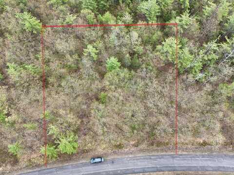 Nhm Lakewood Drive, Presque Isle, MI 49777