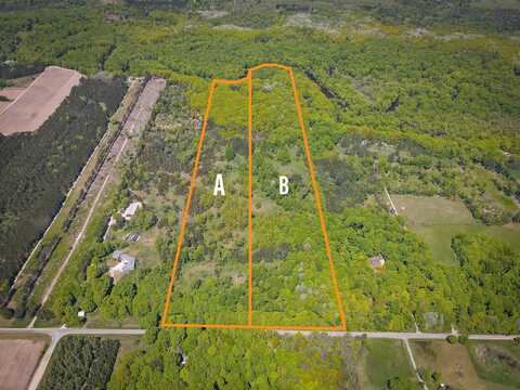 Parcel B E Conrad Road, Custer, MI 49405