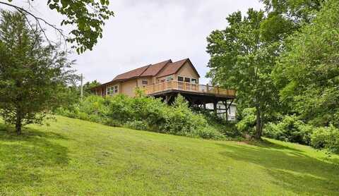 311 College Street, Crane, MO 65633
