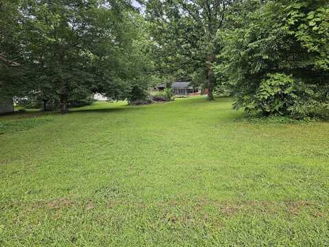 Lot 22 Washington Street, Mount Vernon, MO 65712