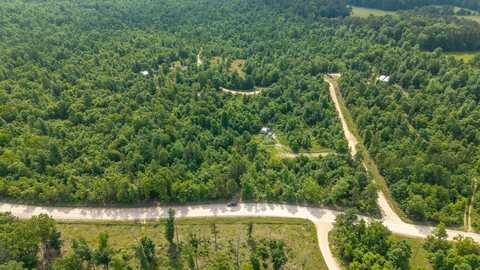 10916 Stella Way, Birch Tree, MO 65438