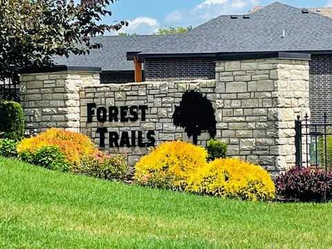 4728 Forest Trails Drive, Springfield, MO 65809