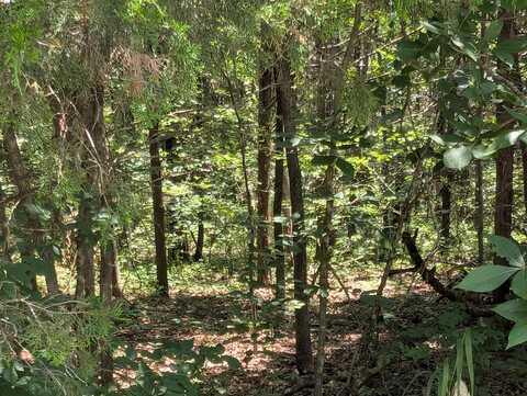 6 Lots Farm Road 1255, Shell Knob, MO 65747