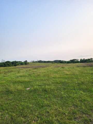 000 Gravelpoint Road, Mountain Grove, MO 65711