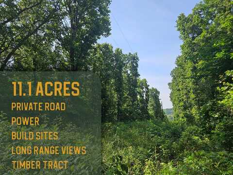 0 Private Drive Off Yy, Norwood, MO 65717