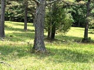 Pr Off County Road 164, Fremont, MO 63941
