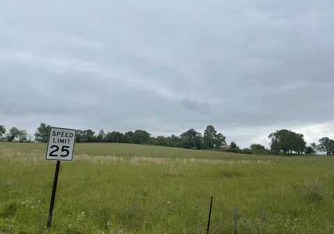 1007 Collins, Ava, MO 65608