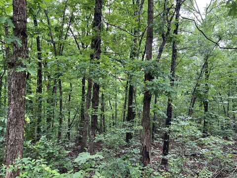 000 Highway 63 South, Mammoth Spring, AR 72554