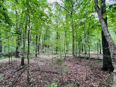 000 Boiling Springs Road, Licking, MO 65542