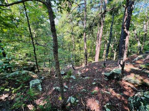 000 Boiling Springs Road, Licking, MO 65542