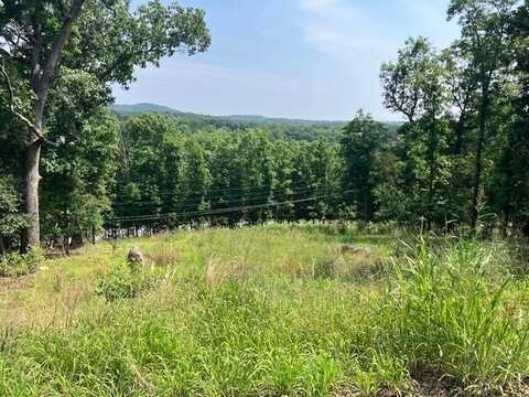 000 Holly Circle, Rockaway Beach, MO 65740