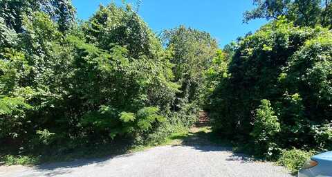 19 Moore Lane, Blue Eye, MO 65611