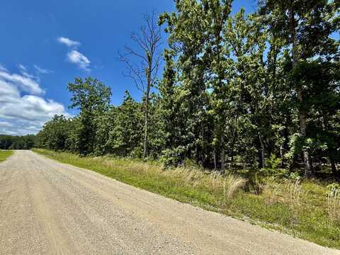 000 John David Drive, Licking, MO 65542