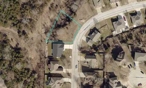 000 Sapling Drive, Branson, MO 65616