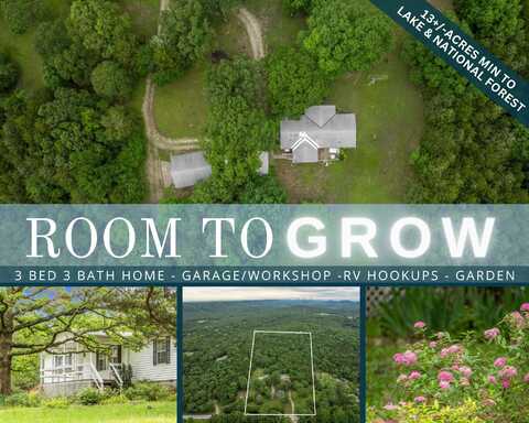 366 Persimmon Hill Lane, Lampe, MO 65681